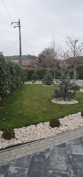 Amenajari gradini si spatii verzi,