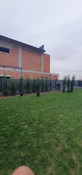 Amenajari gradini si spatii verzi,