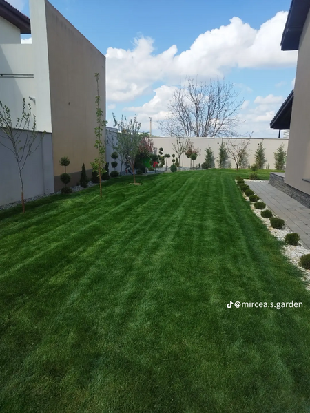 Amenajari gradini si spatii verzi,